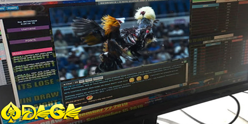 an toàn và bảo mật khi chơi đá gà online tiền thật