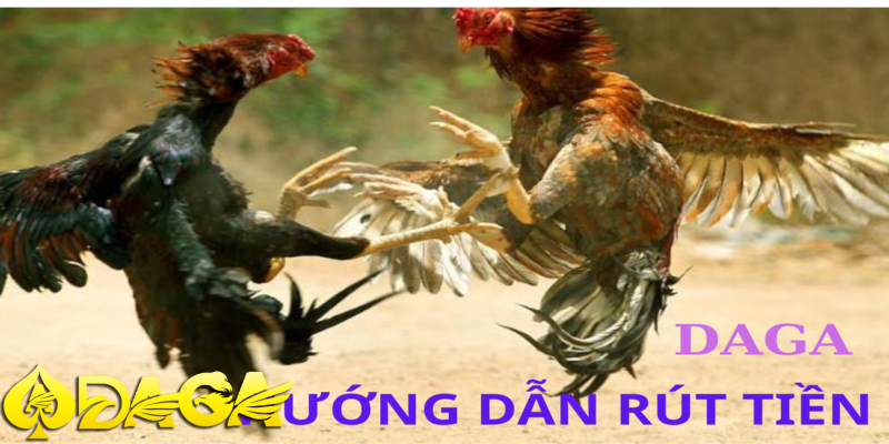rút tiền daga đơn giản và an toàn